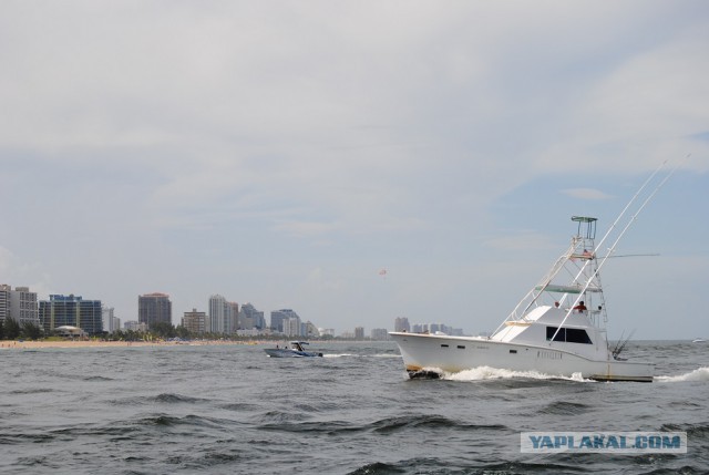 Каникулы во Флориде