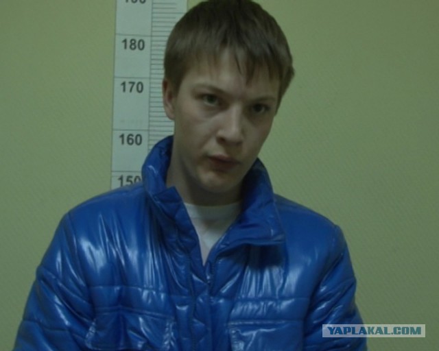 "Дикая Леди" продолжение
