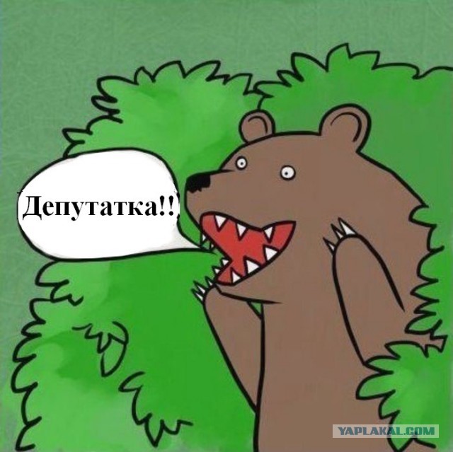 Милый кандидат в депутаты