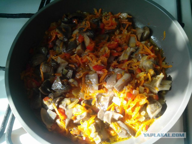 Неудачная рыбалка или нет худа без добра