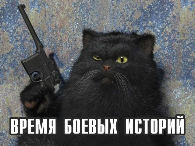 Девушки отстреливались от выходцев с юга