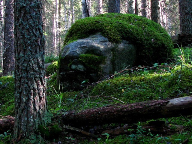 Красивая Россия