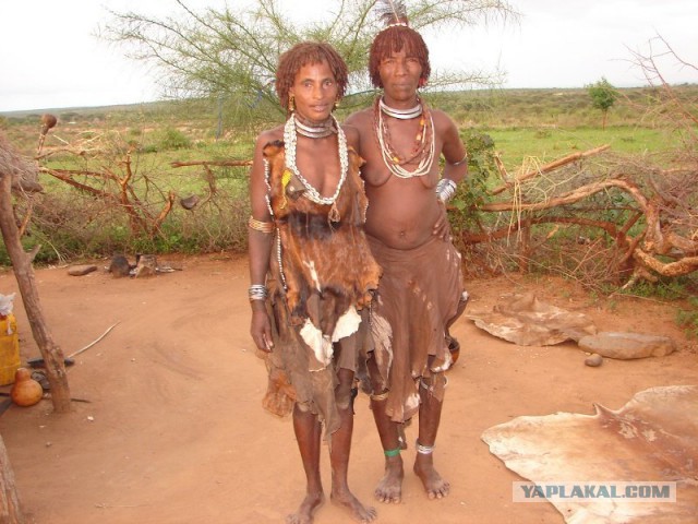 В Нью–Йорке это абсолютно легально