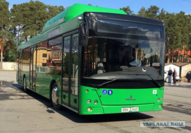 Лукашенко - Да очнись ты