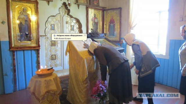 Весёлые картинки