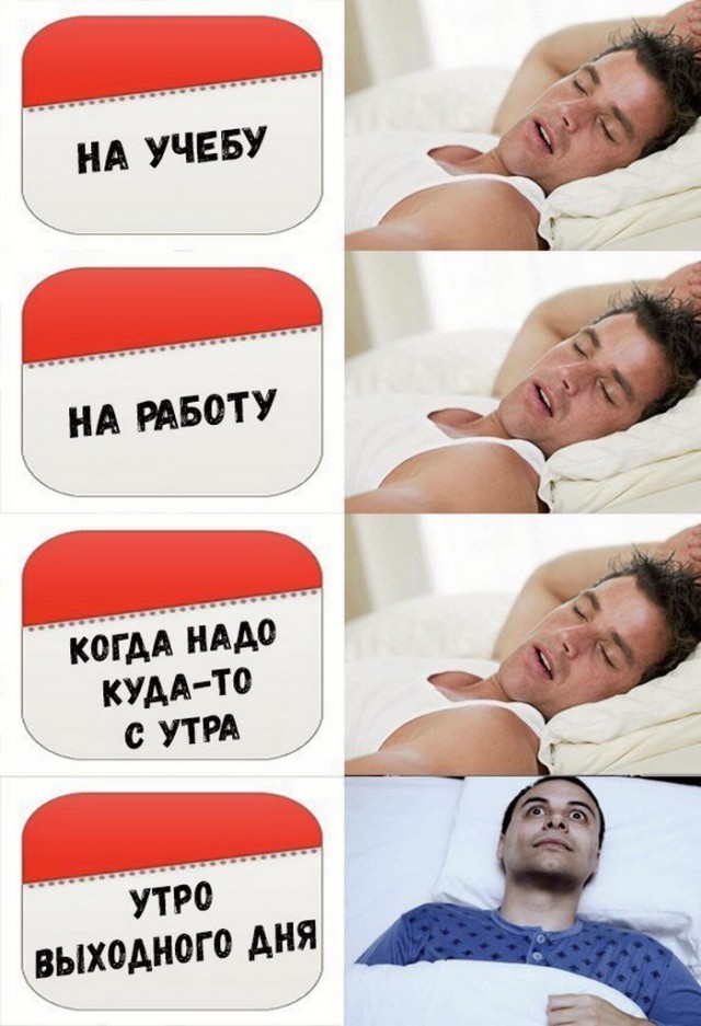 Подборка интересных и веселых картинок
