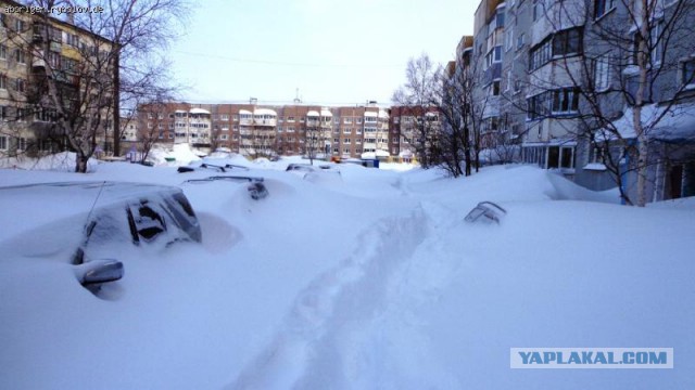 Вышедшую покурить бабушку сдуло ураганным ветром с балкона на Сахалине