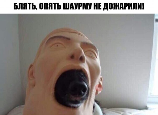 Прикольные картинки обо всём