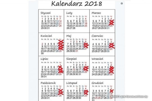 Итоги проверки пользователей