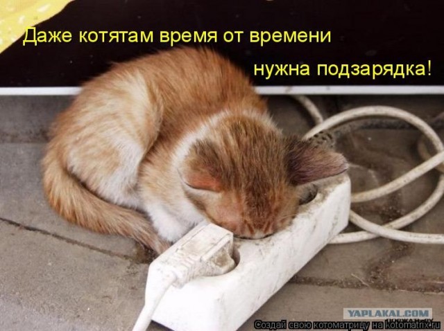 Сонное царство