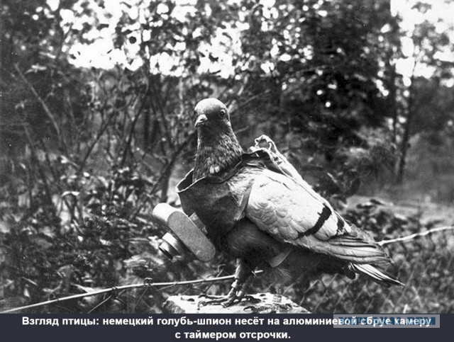 Подборка курьезных военных изобретений со страниц журналов времен Первой Мировой войны.