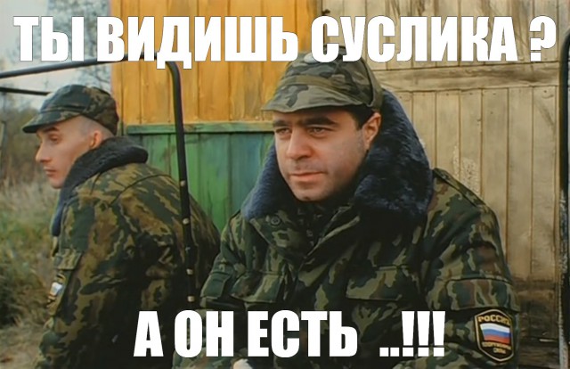 Если попытаться взорвать норы суслика