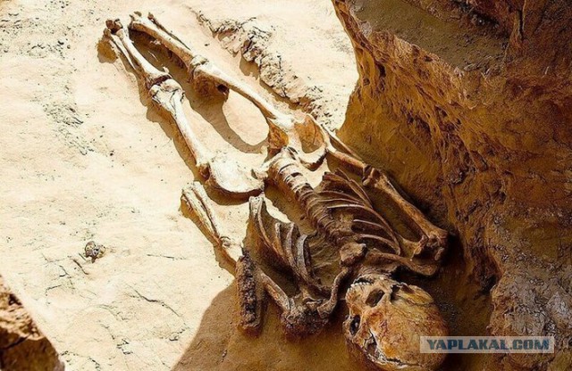 Астраханский фермер обнаружил на своем участке 2000-летнее захоронение с драгоценностями