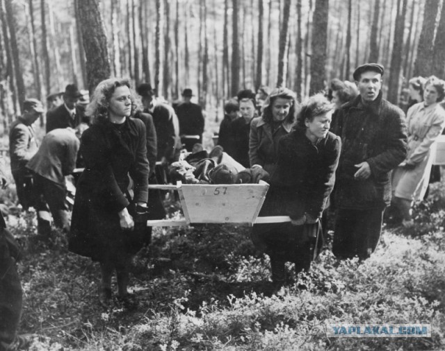 «Русские бросили капо живьем в пылающую печь»: польский историк – о восстании в лагере смерти и ужасах работы в зондеркоманде