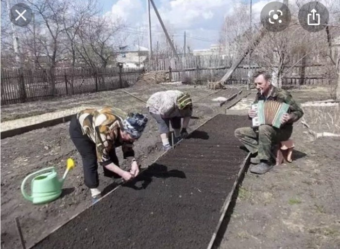 Просто жена картошку копает