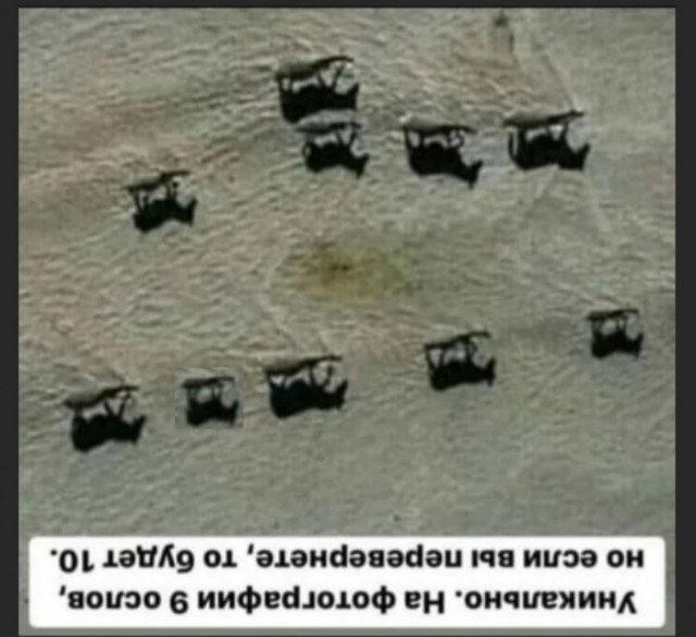 Бредзона