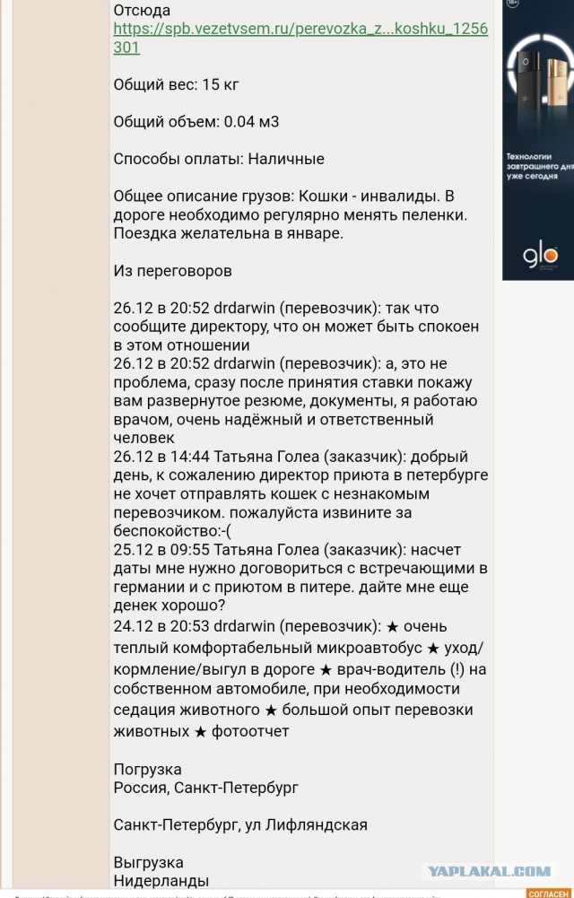 Помогите вернуть кота! Приют "Преданное сердце" украл кота и не отдает!-2