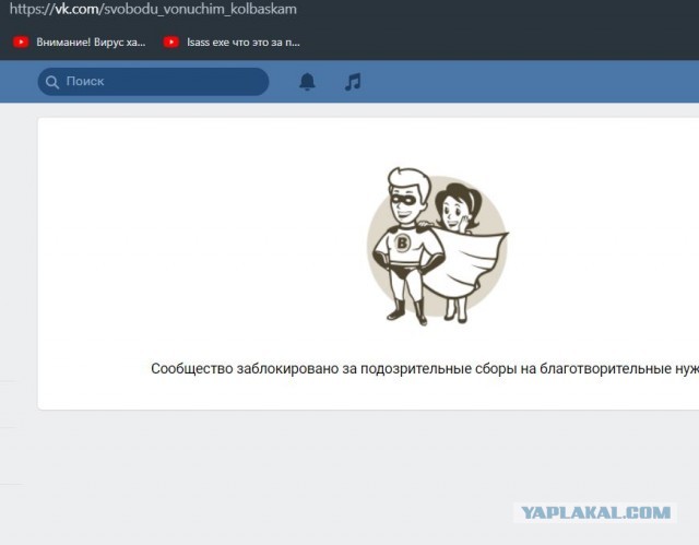 Помогите вернуть кота! Приют "Преданное сердце" украл кота и не отдает!-2
