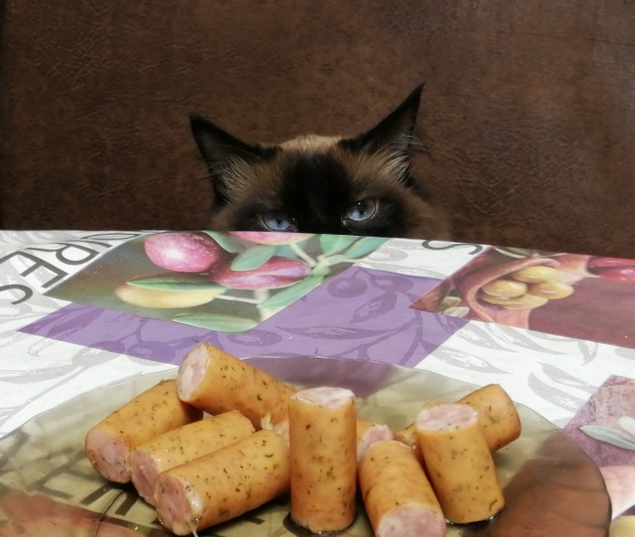 Ну, с котовторником!