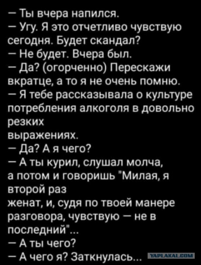 Мужчины умнеют. Женщины негодуют