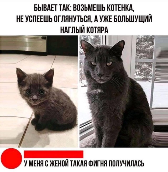 Картинок разных 40 штук