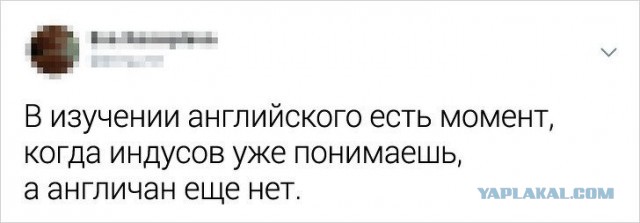 20 юморных картинок