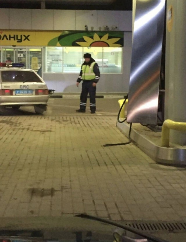 Лента картинок