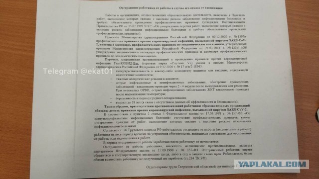 Две трети учителей школы в Серове отстраняют от работы на год из-за отказа привиться от COVID