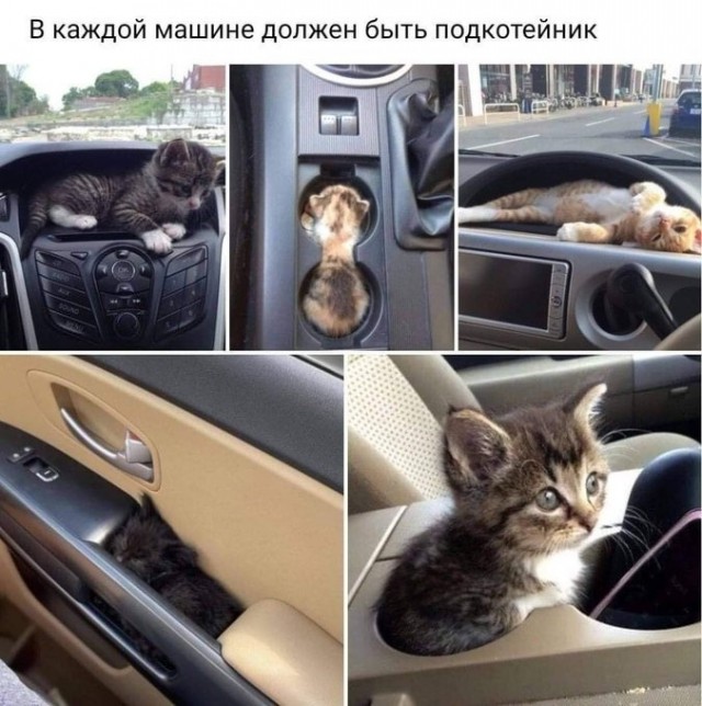 Бредзона 20.01.2021