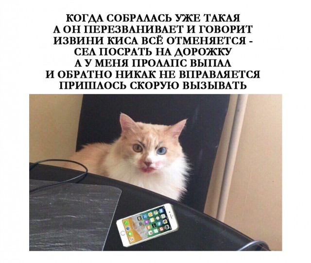 Так себе картинки 04.02.21