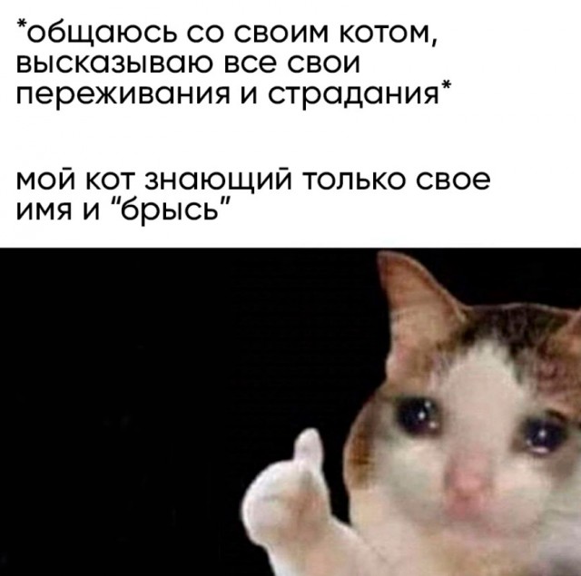 Весёлый полтишок 19.03