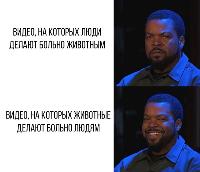 Картинки и мемы для настроения 27.04.2021