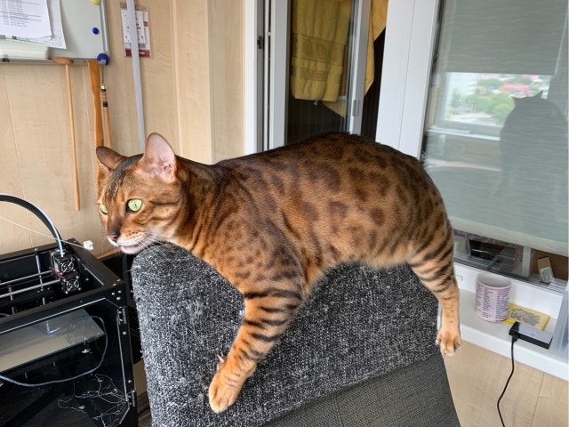 Которник