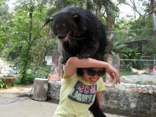 Картинки и мемы для настроения 19.05.2021