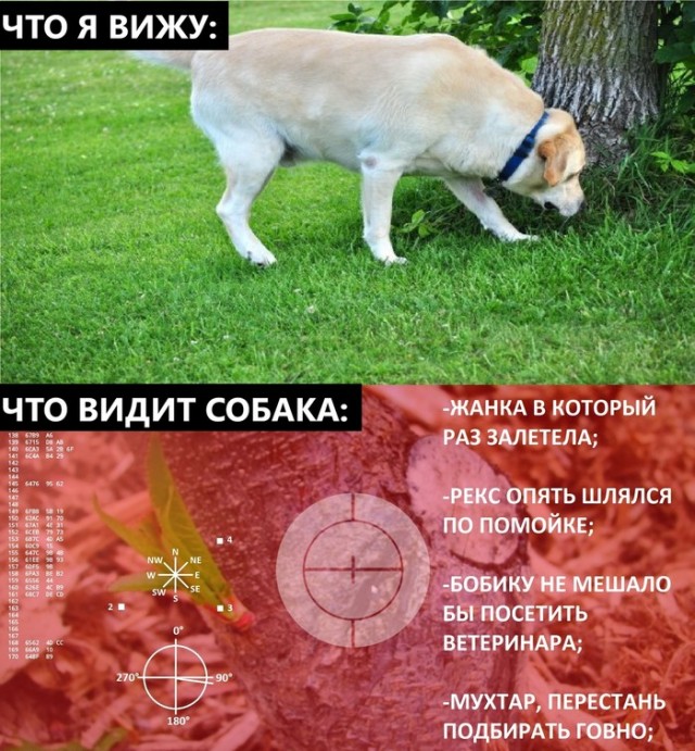 Картинки и мемы на все случаи жизни