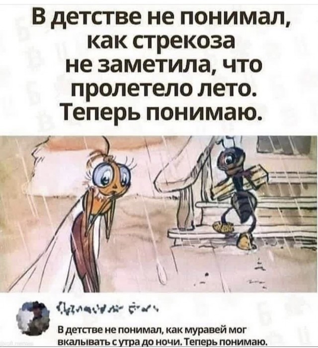 Картинки и мемы для настроения 2021.09.07