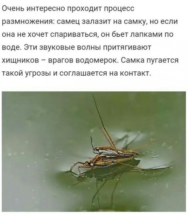 Картинки и мемы для настроения 12.10.2021