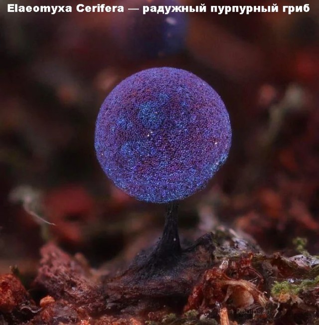 Картинки на четверг 28.10.2021