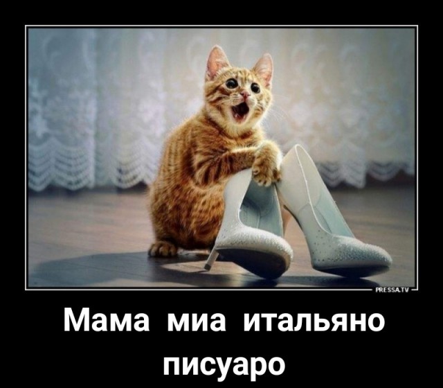 Баянисто-небаянистый юмор 29.10.21