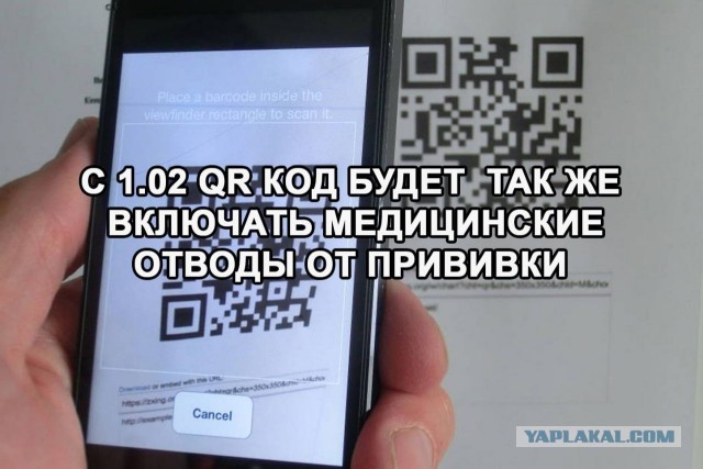 Некоторые ТЦ в Хабаровском крае отказались проверять QR-коды у посетителей