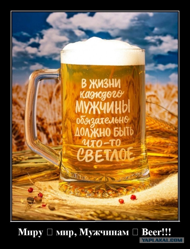 Пивной альбом. Часть вторая