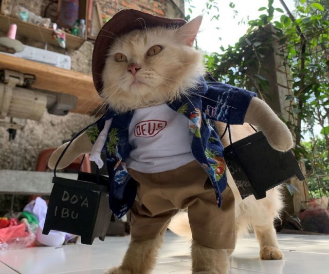 А давайте не про Казахстан, ага?