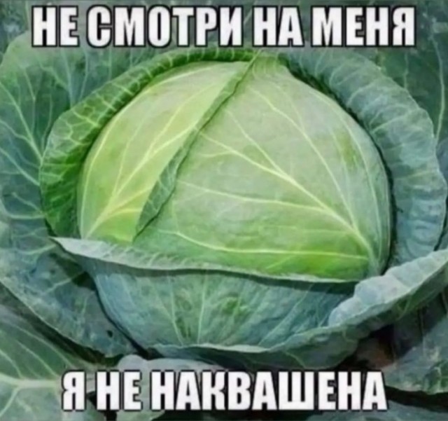 Так себе картинки 23.02.22