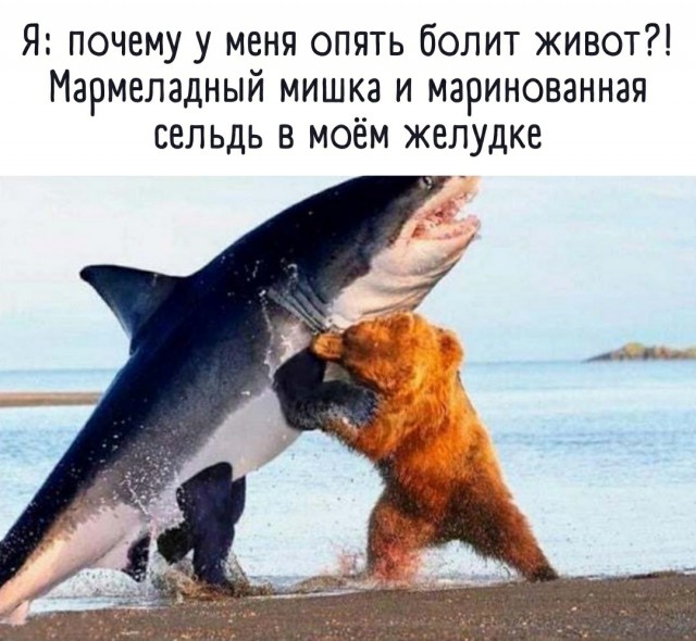 Так себе картинки 19.05.22