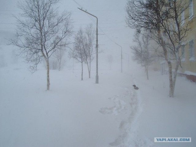 Кольский полуостров