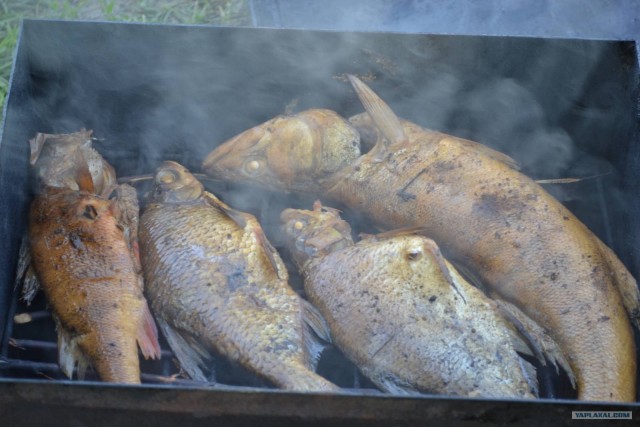 Отдых по-русски.