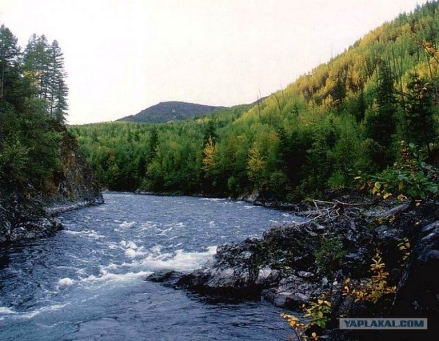 Остров Беринга