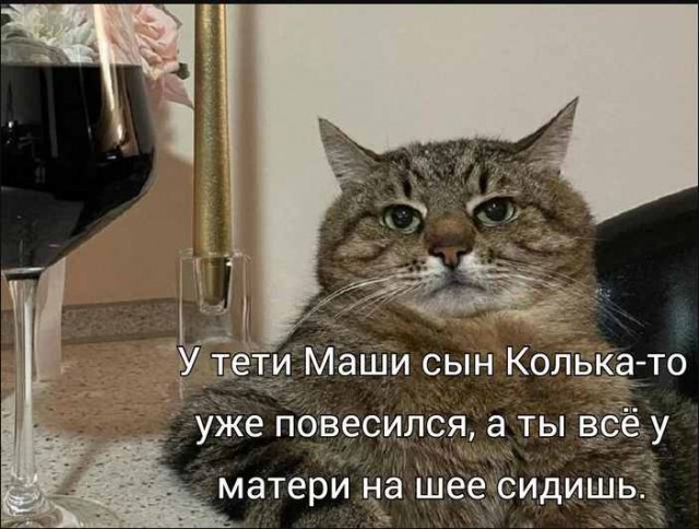 Чёрно-пошлая Среда, для деградантов