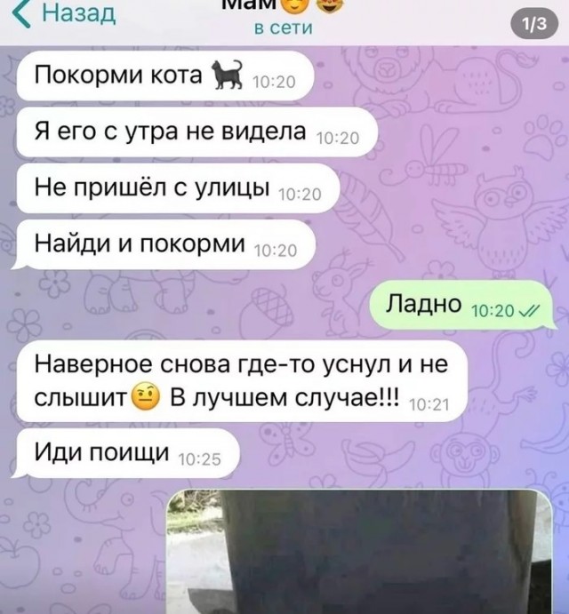 Ему так удобно⁠⁠