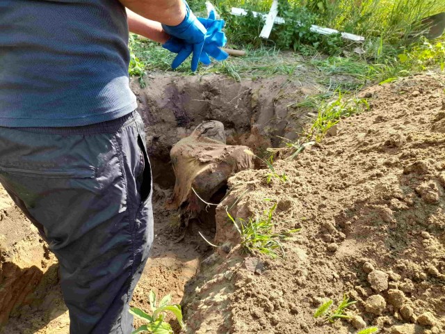Впервые встретил такое захоронение...
